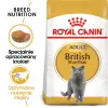 ROYAL CANIN British Shorthair Adult 400g