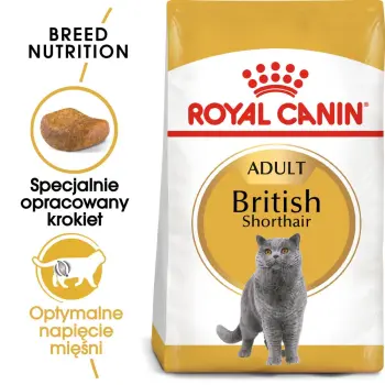 ROYAL CANIN British Shorthair Adult 2kg