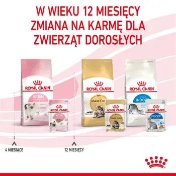 ROYAL CANIN Kitten Pasztet 12x85g