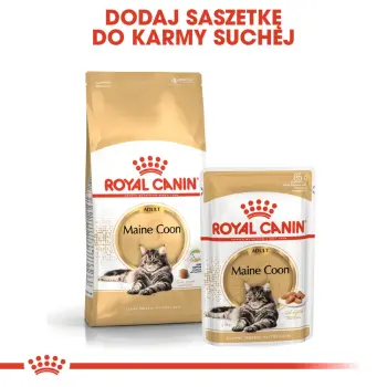 ROYAL CANIN Maine Coon Adult 10kg