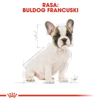 ROYAL CANIN French Bulldog Puppy 1kg