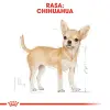 ROYAL CANIN Chihuahua Adult 3kg