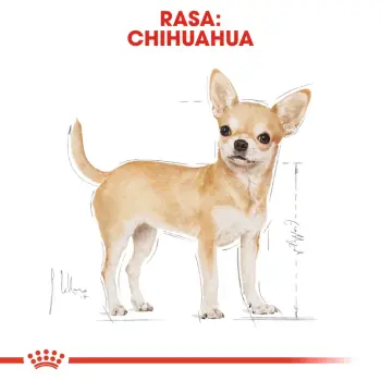 ROYAL CANIN Chihuahua Adult 3kg