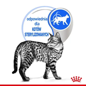 ROYAL CANIN Indoor Sterilised Pasztet 12x85g