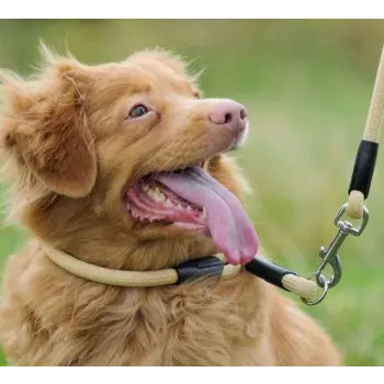 Dingo Snake Obroża Zaciskowa Z Linki Dla Psa Czerwona 55cm