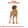 ROYAL CANIN Great Dane Adult 12kg