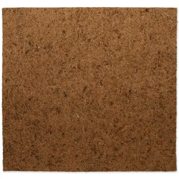 REPTI PLANET Tło Kokosowe Płaskie 50x50cm