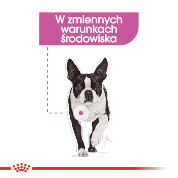 ROYAL CANIN CCN Mini Relax Care 1kg