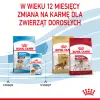 ROYAL CANIN Medium Puppy 1kg