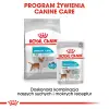 ROYAL CANIN CCN Mini Urinary Care 8kg