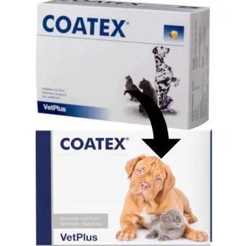 VetPlus Coatex 60 Kapsułek