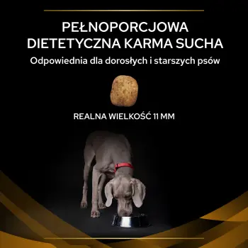 PURINA Pro Plan Veterinary Diets NF Renal Function 3kg