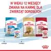 ROYAL CANIN Medium Puppy 10x140g