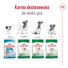 ROYAL CANIN Mini Adult 8+ 2kg