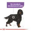 ROYAL CANIN CCN Maxi Sterilised 12kg