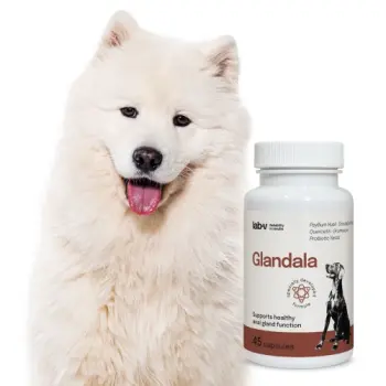 Lab-v Glandala Wsparcie Gruczołów Okołoodbytowych i Przewodu Pokarmowego 45 Kapsułek