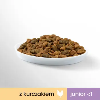 PERFECT FIT Junior Z Kurczakiem 750g