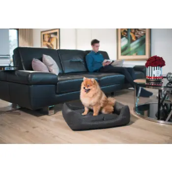 AMIPLAY Sofa ZipClean 4 in 1 Morgan Brązowe S