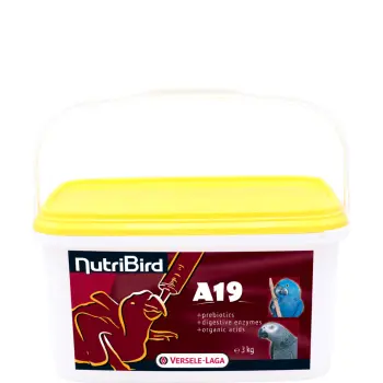 Versele-Laga NutriBird A19 Pokarm Do Ręcznego Karmienia Piskląt 3kg