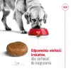 ROYAL CANIN Maxi Adult 5+ 15kg