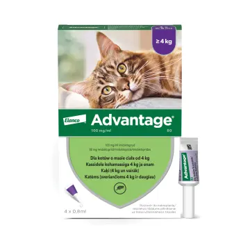 Bayer Advantage Roztwór Do Nakrapiania Dla Kotów 4x0,8ml