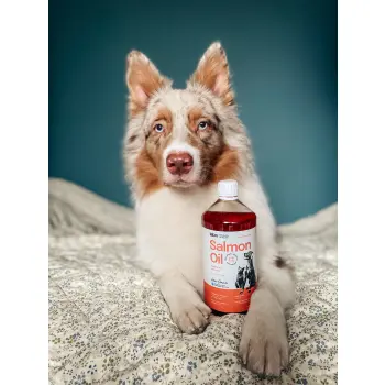 Lab-V Olej Z Łososia Dla Psów I Kotów 500ml