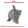 ROYAL CANIN British Shorthair Kitten 400g