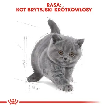 ROYAL CANIN British Shorthair Kitten 400g