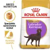 ROYAL CANIN Labrador Retriever Sterilised 12kg