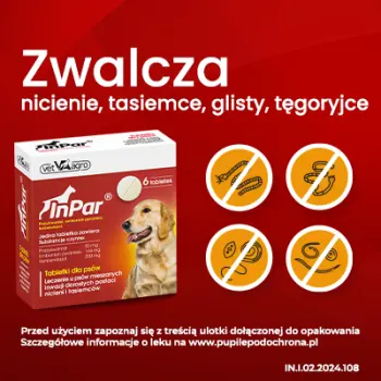 Vet-Agro InPar Tabletki Odrobaczające Dla Psa 6szt