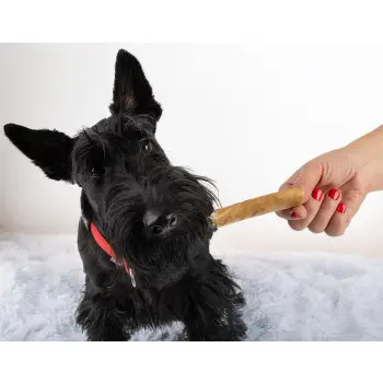 Wołowa suszona skóra 100%, 200g