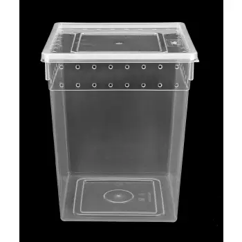 Pojemnik hodowlany BREEDING BOX 21 cm