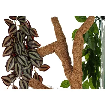 Kokosowa gałąź Troncho S - 40cm