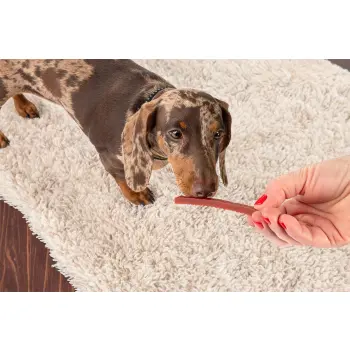 GC58 Paski z wołowiny 70g