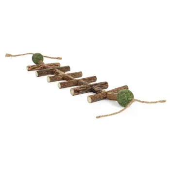 Matatabi & Kocimiętka stonoga