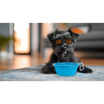 Miska silikonowa turystyczna składana spowalniająca niebieska