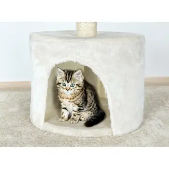 Drapak dla kota 69 cm CT03