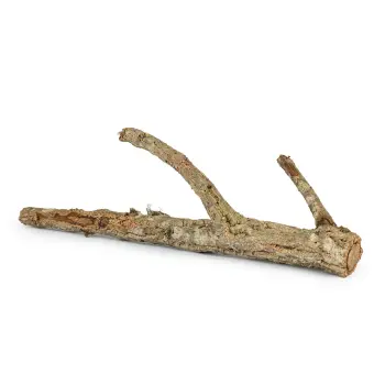 KOREK GAŁĄŹ 30 cm