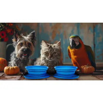 Podwójna miska silikonowa turystyczna składana zamykana 2x0,7l