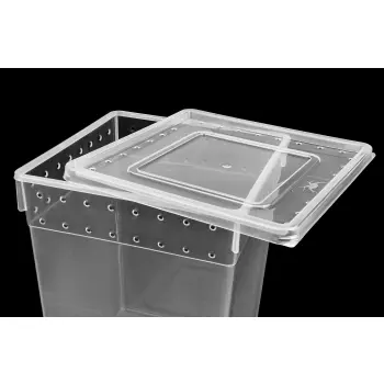 Pojemnik hodowlany BREEDING BOX 21 cm