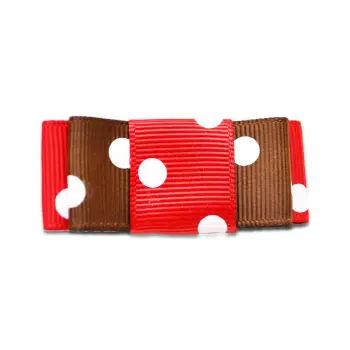 MARCHEWKA DLA KRÓLIKA I MAŁYCH GRYZ