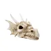 R206 ozdoba terrarium czaszka smok