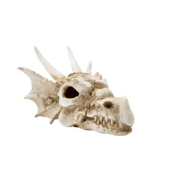 R206 ozdoba terrarium czaszka smok