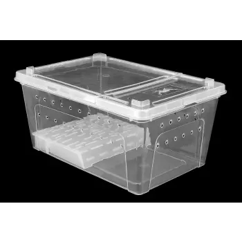 Pojemnik hodowlany BREEDING BOX z platformą 32 cm