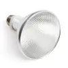 Terra Metahalogen UVB 35W PAR30