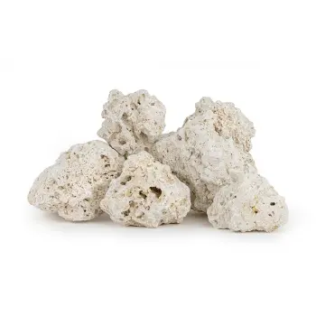 Skała reef rock M 13-20 cm 1 kg