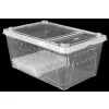 Pojemnik hodowlany BREEDING BOX z platformą 38 cm