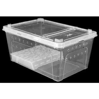 Pojemnik hodowlany BREEDING BOX z platformą 38 cm