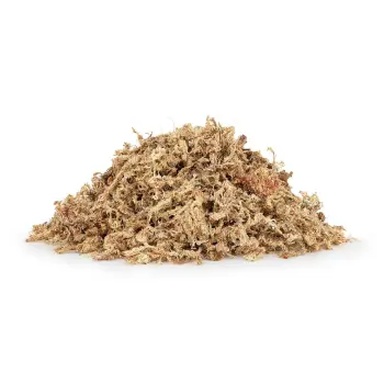 Mech torfowiec Sphagnum moss 50g