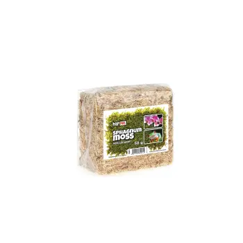 Mech torfowiec Sphagnum moss 50g